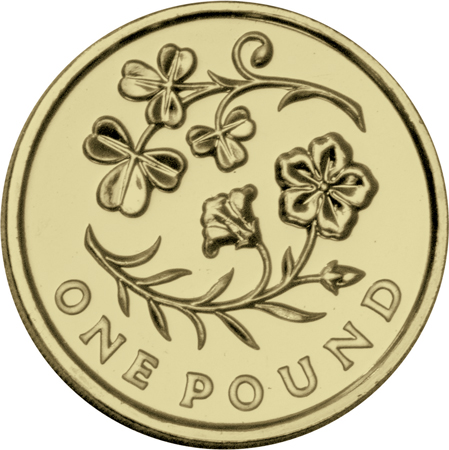 2014-Irish-£1-Single