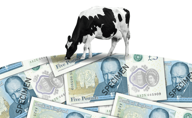 polymer-bank-note-not-vegan-2-2